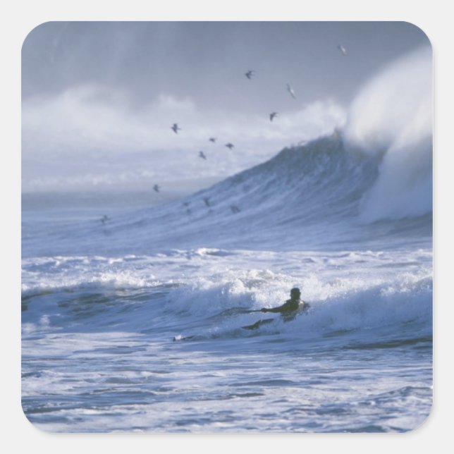 USA, Washington Staat, La Push. Man Kayak Quadratischer Aufkleber (Vorderseite)