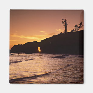 USA, Washington Staat, Olympic National Park. 2 Magnet