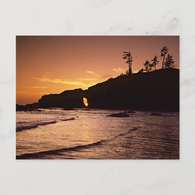 USA, Washington Staat, Olympic National Park. 2 Postkarte (Vorderseite)