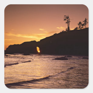 USA, Washington Staat, Olympic National Park. 2 Quadratischer Aufkleber