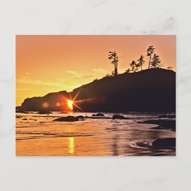 USA, Washington Staat, Olympic National Park. 3 Postkarte (Vorderseite)