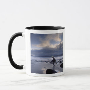 USA, Washington Staat, Olympic National Park. Tasse