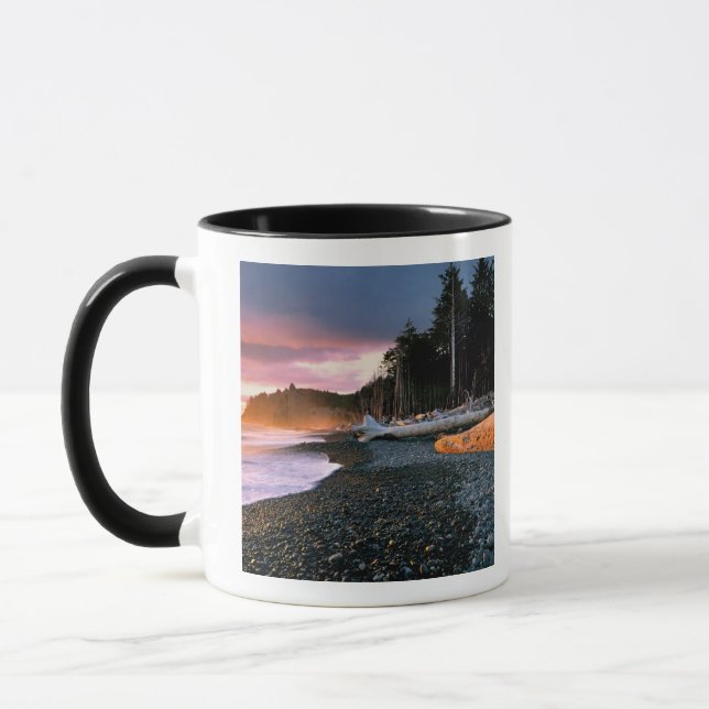 USA, Washington Staat, Olympic NP. Wellen raufen Tasse (Links)