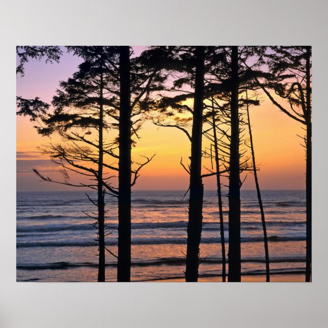 USA, Washington Staat, Olympic NP. Zierlich Poster (Vorne)