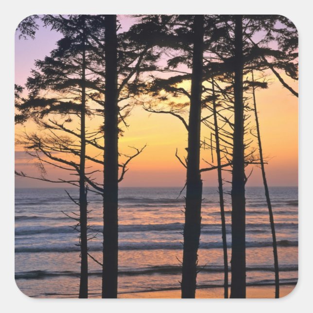 USA, Washington Staat, Olympic NP. Zierlich Quadratischer Aufkleber (Vorderseite)