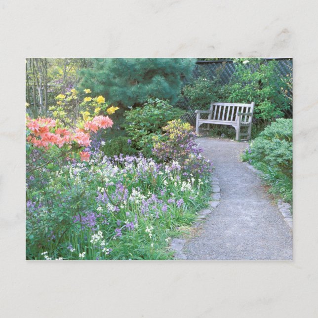 USA, Washington Staat, Seattle. 5 Postkarte (Vorderseite)