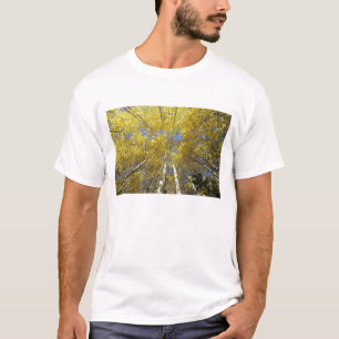 USA, Washington, Stevens Pass Herbstfarbene Aspen T-Shirt