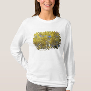 USA, Washington, Stevens Pass Herbstfarbene Espen T-Shirt