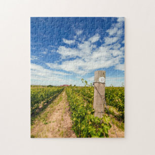 USA, Washington, Walla. Cabernet Sauvignon Puzzle