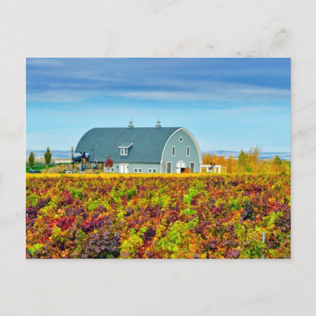 USA, Washington, Walla. Garrison Creek Postkarte (Vorderseite)