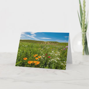 USA, Washington, Walla Walla. Wildblumen Feiertagskarte
