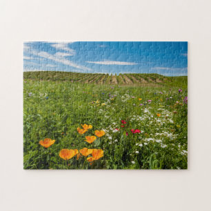 USA, Washington, Walla Walla. Wildblumen Puzzle