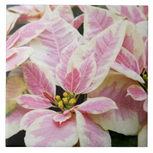 USA, Washington, Woodinville, Molbaks Kinderzimmer Fliese