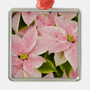 USA, Washington, Woodinville, Molbaks Kinderzimmer Silbernes Ornament