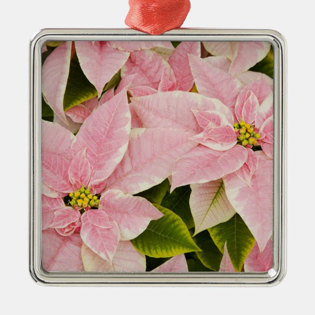 USA, Washington, Woodinville, Molbaks Kinderzimmer Silbernes Ornament (Vorne)