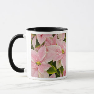 USA, Washington, Woodinville, Molbak's Nursery, 4 Tasse