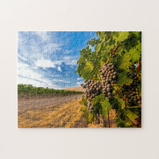 USA, Washington, Yakima Valley. Merlot-Trauben Puzzle (Horizontal)