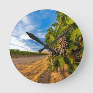 USA, Washington, Yakima Valley. Merlot-Trauben Runde Wanduhr