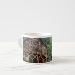 USA, West Virginia, Babcock SP. Rustic Glade Espressotasse