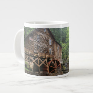 USA, West Virginia, Babcock SP. Rustic Glade Jumbo-Tasse