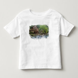 USA, West Virginia, Babcock SP. Rustic Glade Kleinkind T-shirt