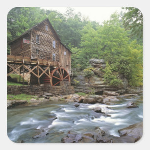 USA, West Virginia, Babcock SP. Rustic Glade Quadratischer Aufkleber