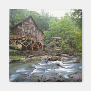 USA, West Virginia, Babcock SP. Rustikale Lichtung Magnet