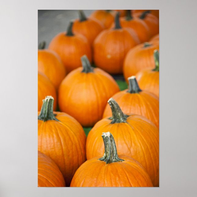 USA, West Virginia, Charleston. HAUPTSTADT 2 Poster (Vorne)