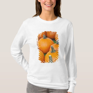 USA, West Virginia, Charleston. Hauptstadt 2 T-Shirt