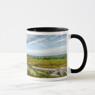 USA, West Virginia, Davis. Landschaft in Dolly Tasse