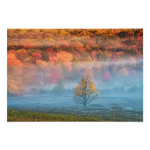 USA, West Virginia, Davis. Misty Tal und Fotodruck