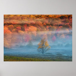 USA, West Virginia, Davis. Misty valley and Poster