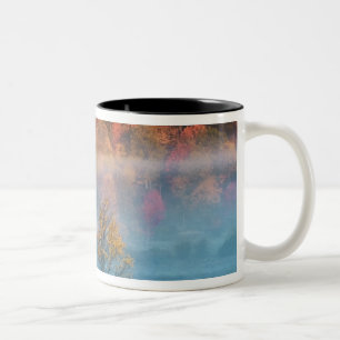 USA, West Virginia, Davis. Tal der Misti und Zweifarbige Tasse