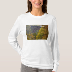 USA, West Virginia, Fayetteville. Neufluss T-Shirt