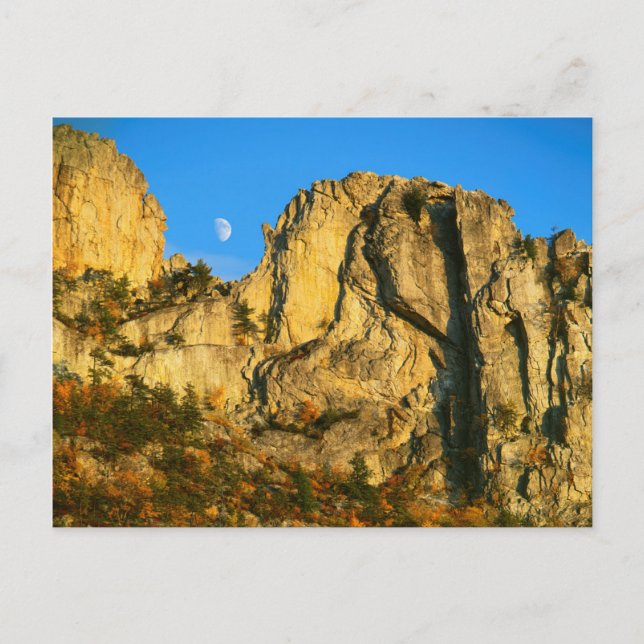 USA, West Virginia, Spruce Knob-Seneca Rocks 2 Postkarte (Vorderseite)