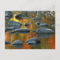 USA, West Virginia, Spruce Knob-Seneca Rocks 3