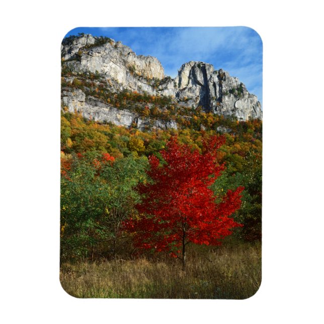 USA, West Virginia, Spruce Knob-Seneca Rocks Magnet (Vertikal)