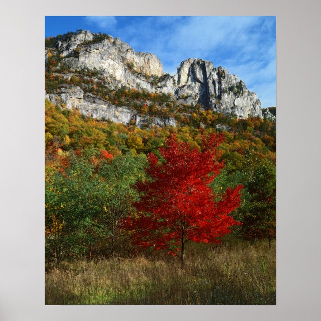 USA, West Virginia, Spruce Knob-Seneca Rocks Poster (Vorne)