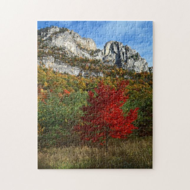 USA, West Virginia, Spruce Knob-Seneca Rocks Puzzle (Vertikal)