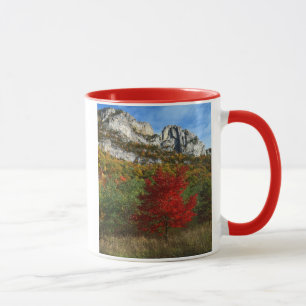 USA, West Virginia, Spruce Knob-Seneca Rocks Tasse