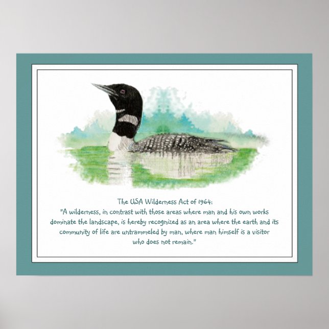 USA Wilderness Act Quote, Wasserfarbloon Poster (Vorne)