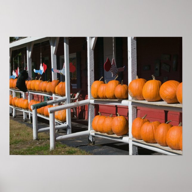 USA, WISCONSIN, Washburn, Lake Superior Shore, Poster (Vorne)