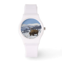 USA, WY, Yellowstone NP, American Bison Bison