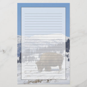 USA, WY, Yellowstone NP, American Bison Bison Briefpapier