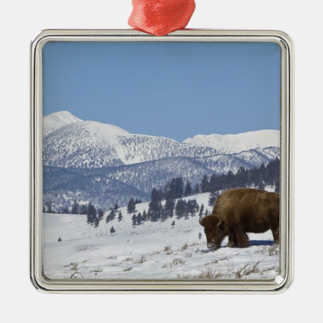 USA, WY, Yellowstone NP, American Bison Bison Ornament Aus Metall (Vorne)