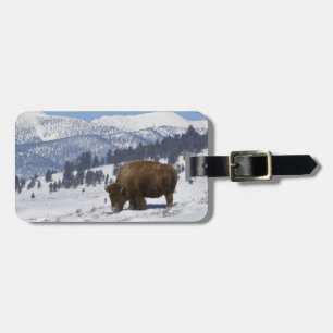 USA, WY, Yellowstone NP, Amerikanischer Bison Biso Gepäckanhänger