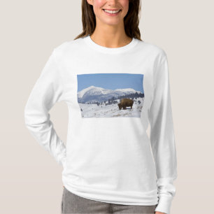 USA, WY, Yellowstone NP, Amerikanischer Bison Biso T-Shirt