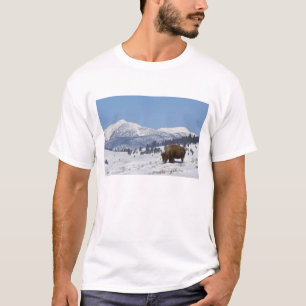 USA, WY, Yellowstone NP, Amerikanischer Bison Biso T-Shirt