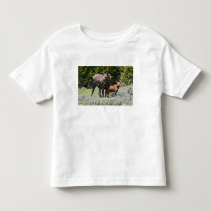 USA, Wyoming, Bighorn Mountains, Elch Alces Kleinkind T-shirt
