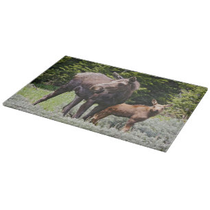 USA, Wyoming, Bighorn Mountains, Elch Alces Schneidebrett